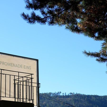 Top Five See & Bergblick - Haus Seepromenade โดบริอาค ภายนอก รูปภาพ