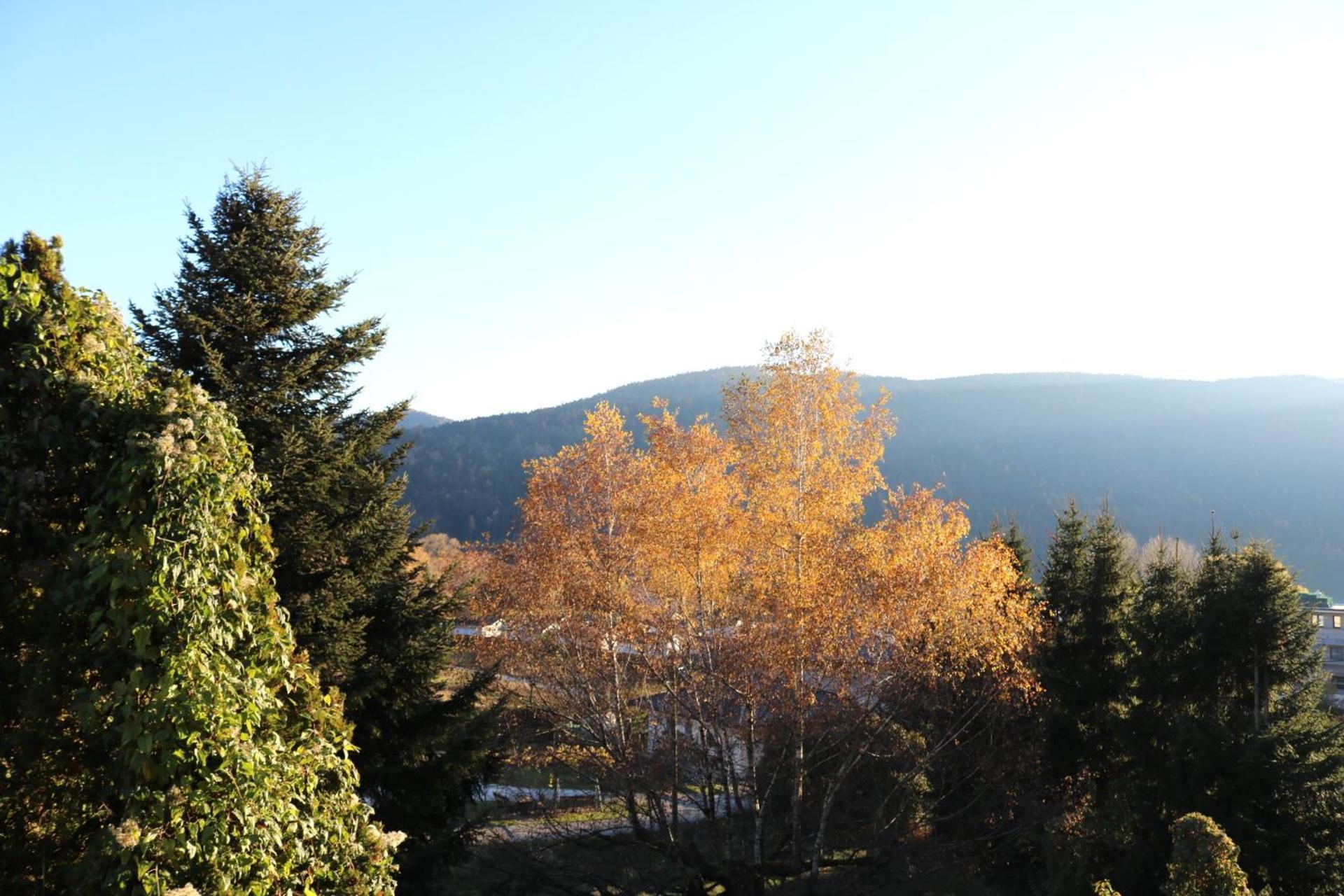 Top Five See & Bergblick - Haus Seepromenade โดบริอาค ภายนอก รูปภาพ